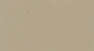 Standard - Briarwood Tan